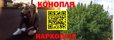 гидропоника Гагарин