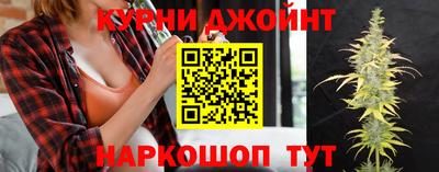 гидропоника Гагарин