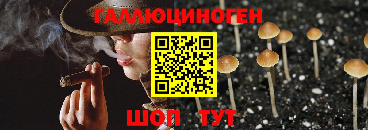 Галлюциногенные грибы ЛСД Воркута