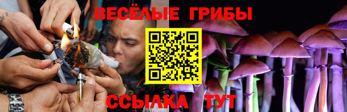 Псилоцибиновые грибы ЛСД  Псилоцибиновые грибы ЛСД  Воркута  наркотики  Вход с VPN 